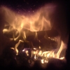 13 DSC00126.JPG